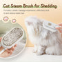 🎁Pet Grooming Brush With Spray
